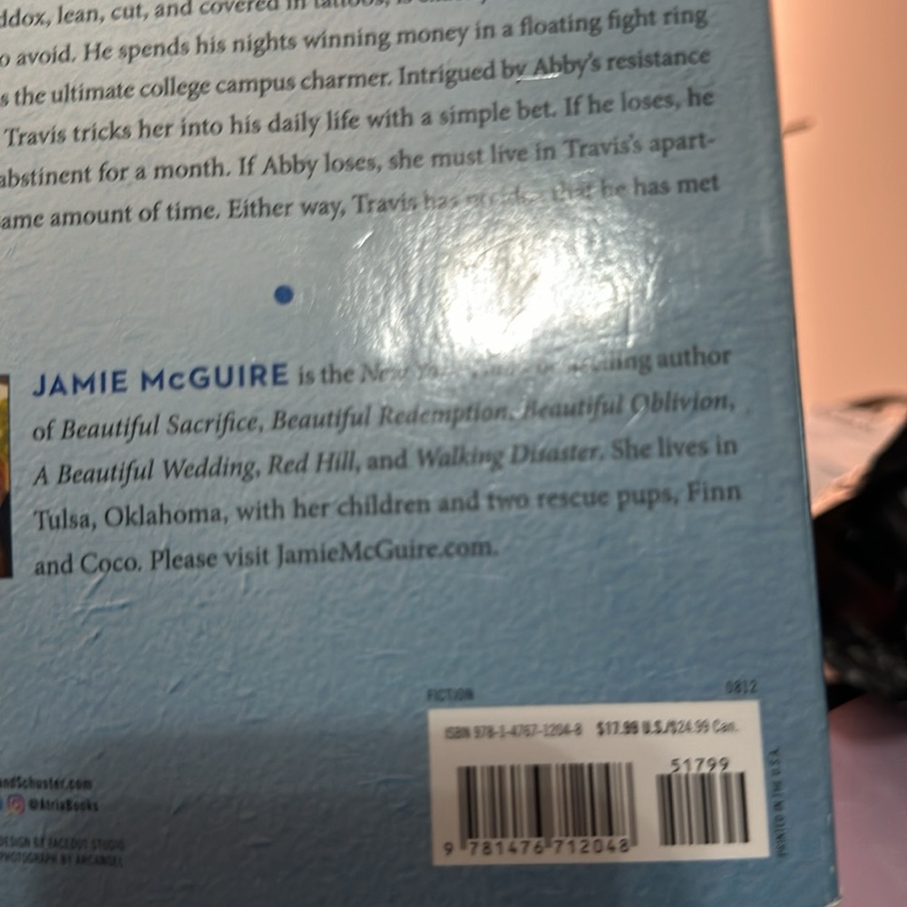 Beautiful Disaster Book - Picture 6 of 6